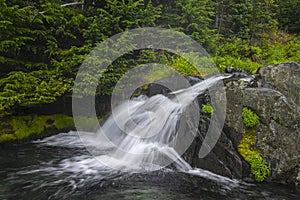 Paradise River in Mt. Rainier National Park in Washington State.