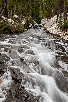 Paradise river near Narada Falls at Mount Rainier National Park in Washington State during summer