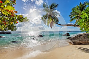 Paradise Sunny beach with coco palms on sandy beach and blue sea.