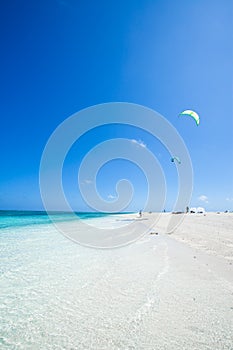 Paradise tropical beach with clear blue water