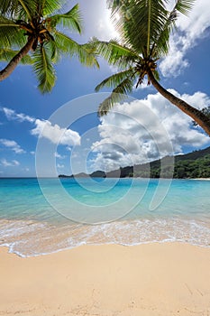 Paradise tropical beach with coco palms.