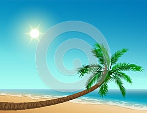 Paradise tropical beach. Inclined palm tree, clear sky, sun, sea and sand photo