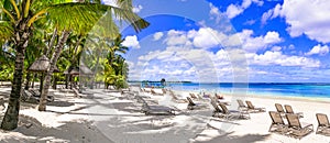 Paradise tropical beach scenery. Mauritius island holidays