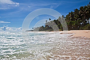 Paradise - tropical beach, Sri Lanka