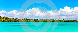 Paradise tropical Catalina island nature background. Beautiful beach with turquoise sea water and palm trees. Dominican republic