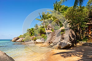 Paradise tropical exotic sandy Sairee Beach on Koh Tao Island