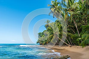 Paradise wild beach of Manzanillo Park in Costa Rica