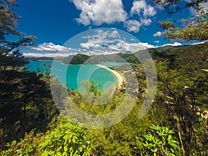 Paradisiac beach in Abel Tasman in New Zealand