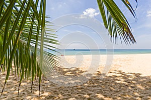 Paradisiac beach of Koh Phi Phi