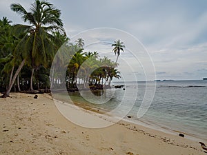 Paradisiac beach at San Blas Panama, palm trees and sand beaches photo