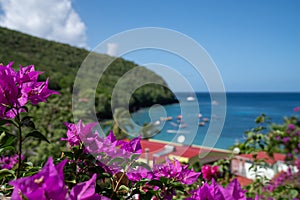 Paradisiac Caribbean landscape with the famous Anse Dufour in Martinique