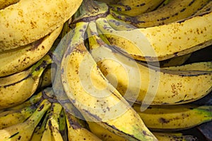 Group of Bananas yellow for sale photo