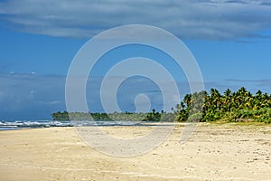 Paradisiacal beach surrounded by coconut trees