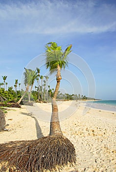 Paradiziacas beaches