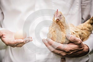 Paradox of the Chicken and the Egg