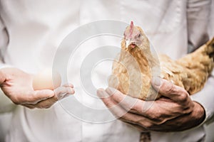 Paradox of the Chicken and the Egg photo