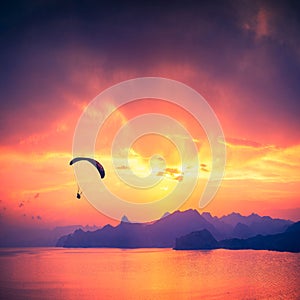 Paraglide silhouette over the sea sunset