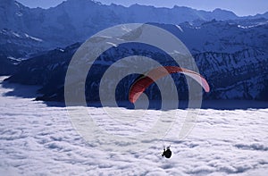 Paraglider photo