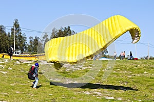 Paraglider