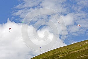 Paraglider