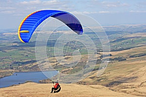 Paraglider