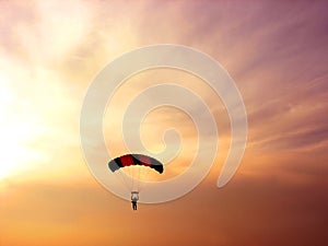 Paraglider