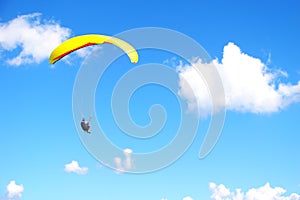 Paraglider