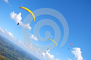 Paraglider