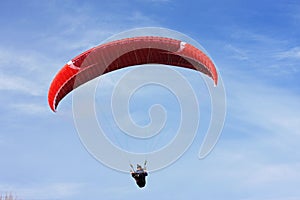 Paraglider