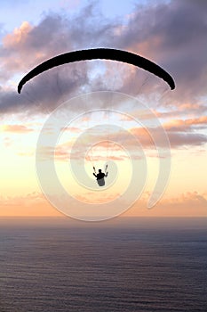 Paraglider