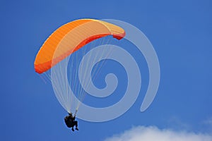 Paraglider