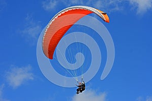 Paraglider