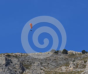 Paraglider