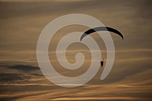 Paraglider