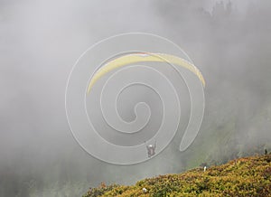 Paraglider in the Alps. Austria