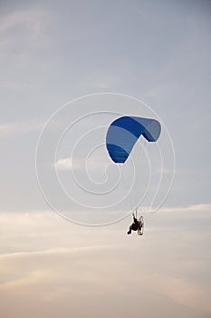 Paraglider - Feeling free