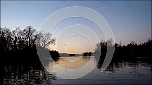 Paraglider with a motor night flying over the lake in Gatchina park