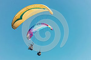 Paraglider in the sky. The sportsman flying on a paraglider.