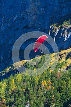 Paraglider sportsmen in Alps mointains, Berner Oberland photo