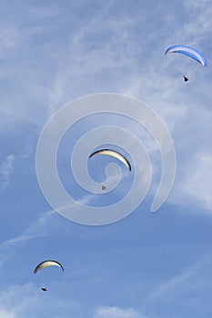 Paragliders