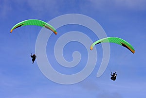 Paragliders