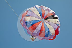 Paragliders overhead blue sky
