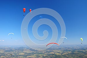 Paraglides