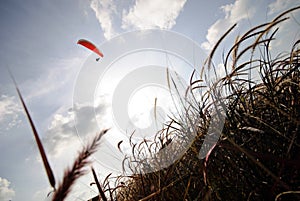 Paragliding