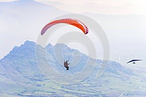 Paragliding in the blue sunny sky