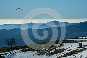 Paragliding with dog and panorama