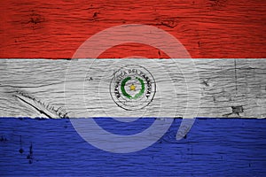 Paraguay national flag painted old oak wood