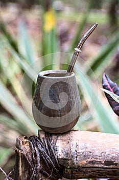 Paraguay Yerba Mate photo