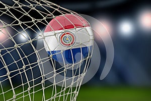 Paraguayan soccerball in net