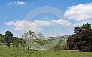 Parallel pathway, near Stannage Edge, in Haversage.